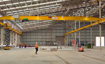 Standard Cranes